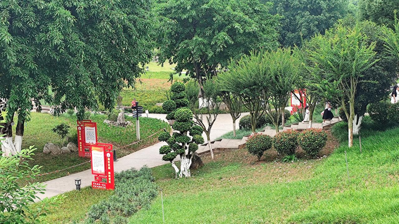真心话茶局公园随手拍！自然风景图片分享