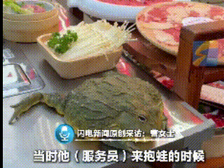 女子带着宠物前往饭店吃火锅，她把宠物放在餐桌上。这时，服务员走过来，一把抱起女子