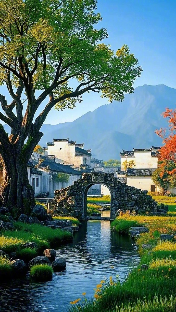 江南秋色好，红黄满径间。​​​​