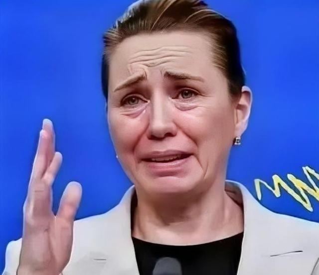 🌞丹麦政府痛恨中国，丹麦的外交大臣拉斯穆森曾表示，过去不允许中国对格陵兰岛