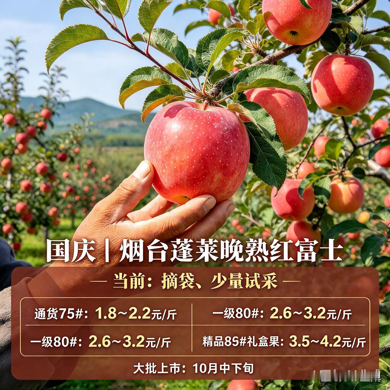 去年双11凑单买过10斤装的陕西红富士，29.9元，算下来一斤才3块不到，拆开箱