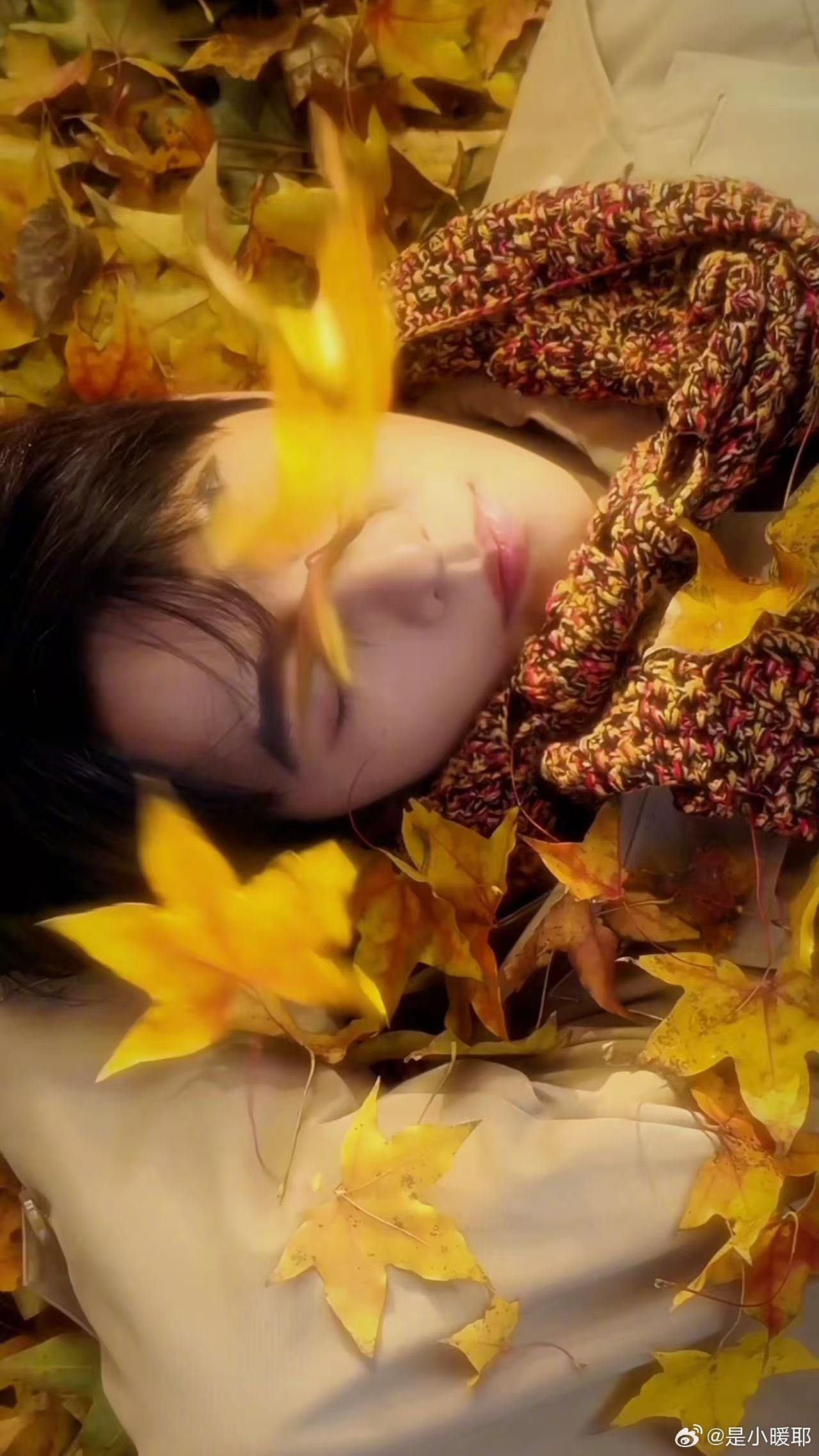 杨洋刷新了我的手机颜值每次打开手机都看到杨洋的脸，简直幸福到爆炸！这绝对是手机