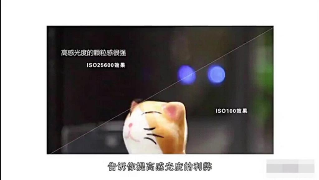 806361551485075990.jpg?id=0