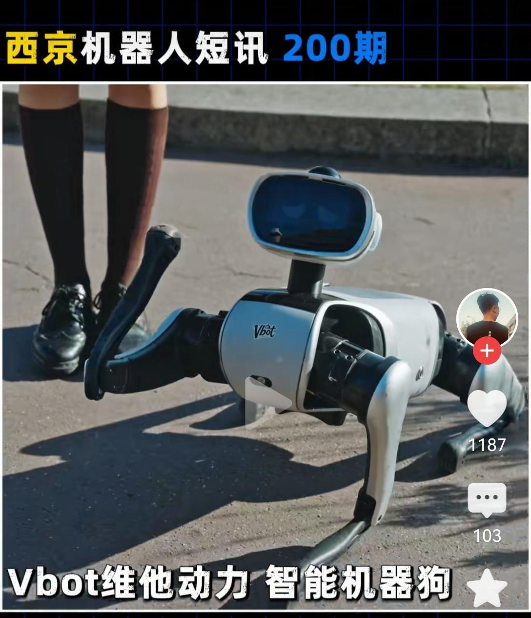 机器狗作为家庭用户的陪伴犬，充满了科技感与现代感。如果能给机器狗的小脑袋，加个