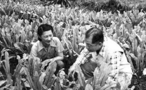 蒋介石：用维持一个步兵团的经费供养张学良，戴笠：好。戴笠和张学良交往颇多，193