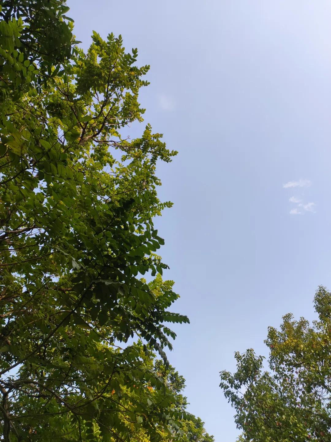 62岁的老友猝然离世，身后的一地鸡毛，把人性扒得底裤都不剩。生前最爱体面，6