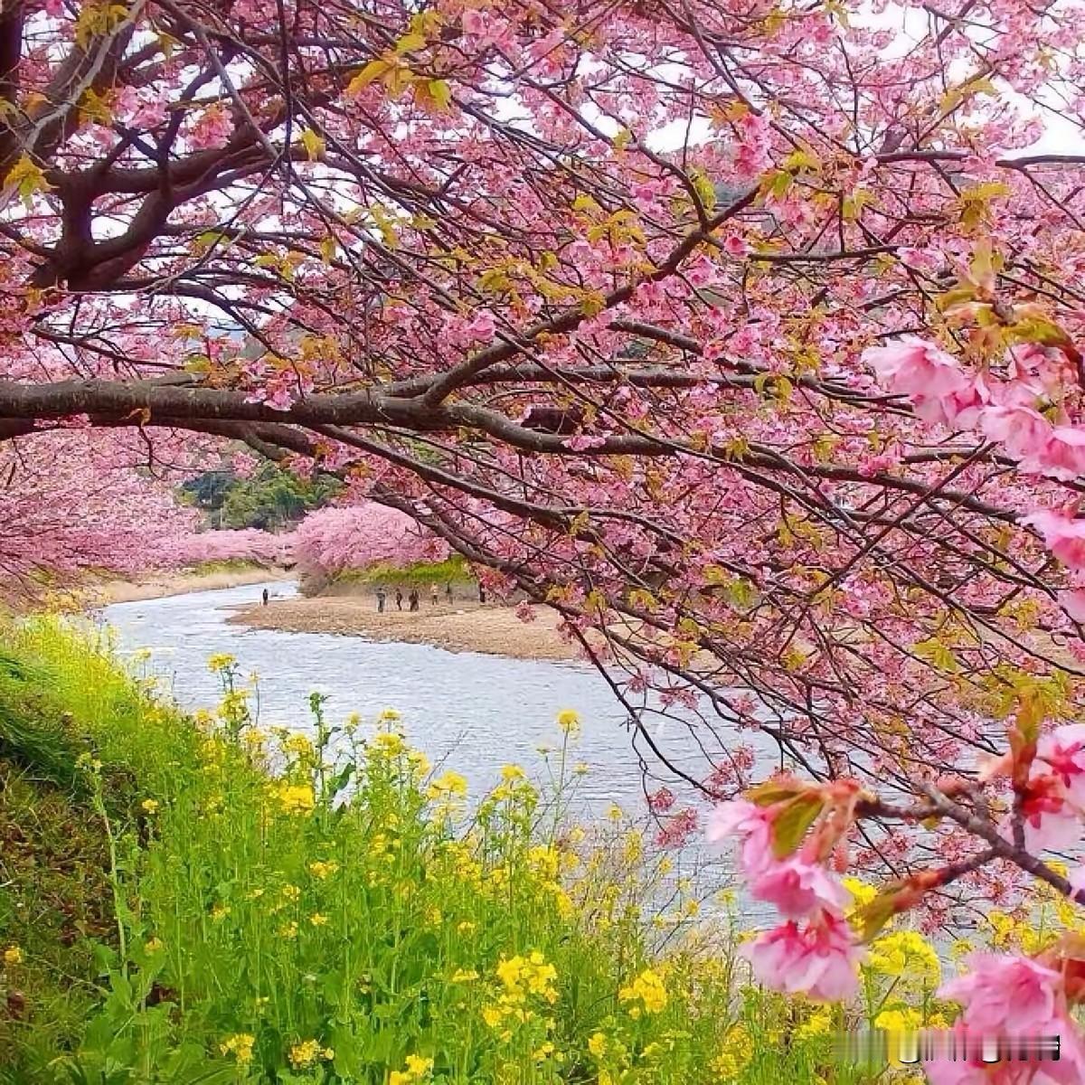 心境一换，世界皆温柔你有没有发现，风景还是那片风景，人生还是这段人生，