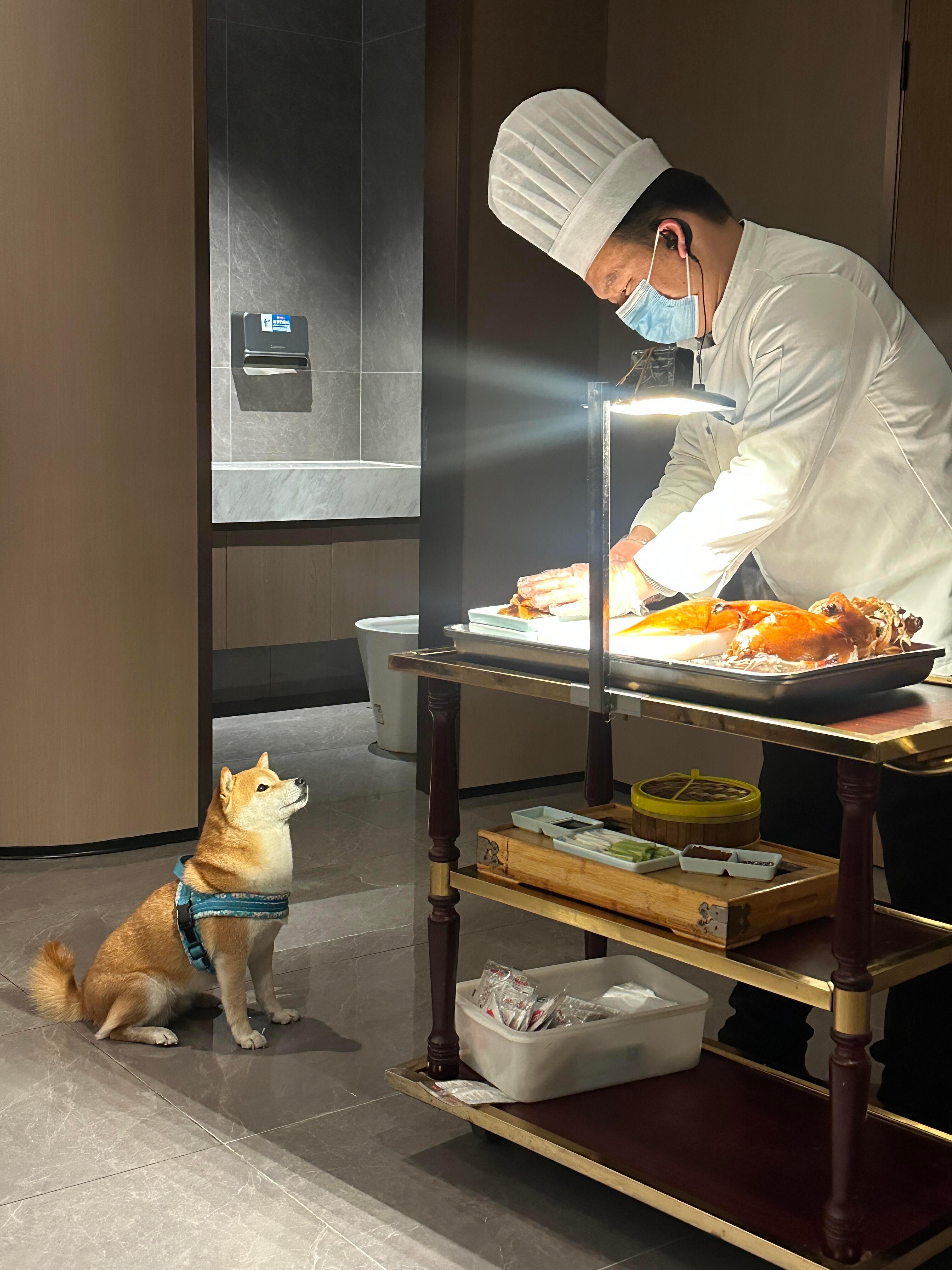 小狗：遇到了掌管肉肉的神