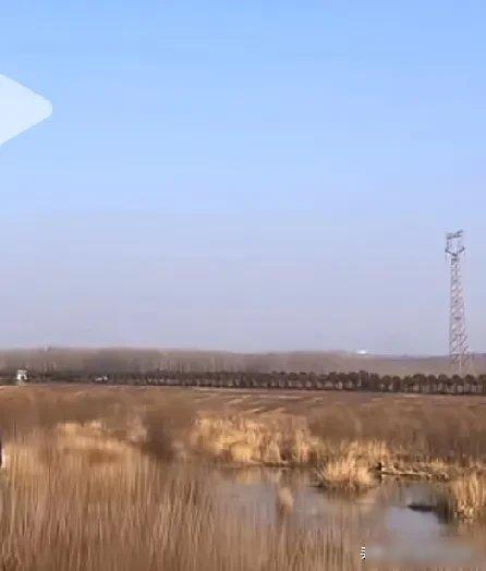 身体要想健康，养成几个好习惯！最近总听同事说体检查出胃炎，我才想起自己熬夜