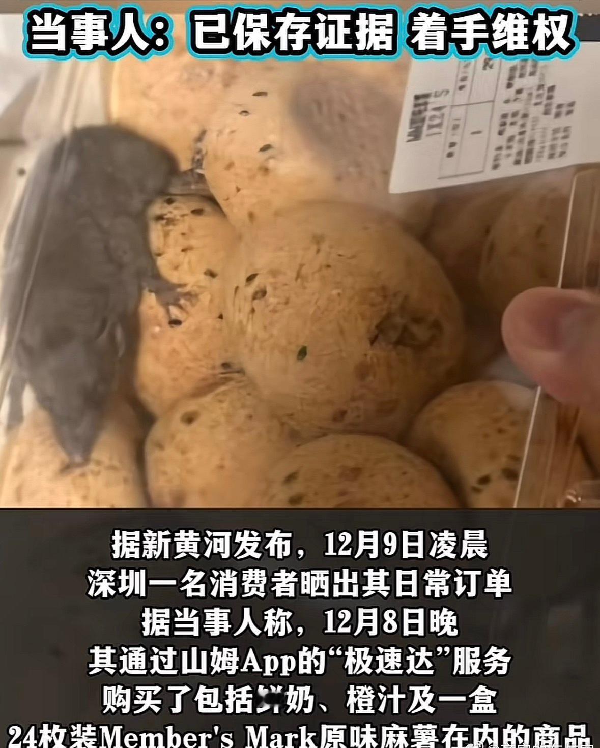 你说大晚上的，点个“极速达”想吃口热乎的麻薯，结果保温袋一打开，里头居然蹲着一只