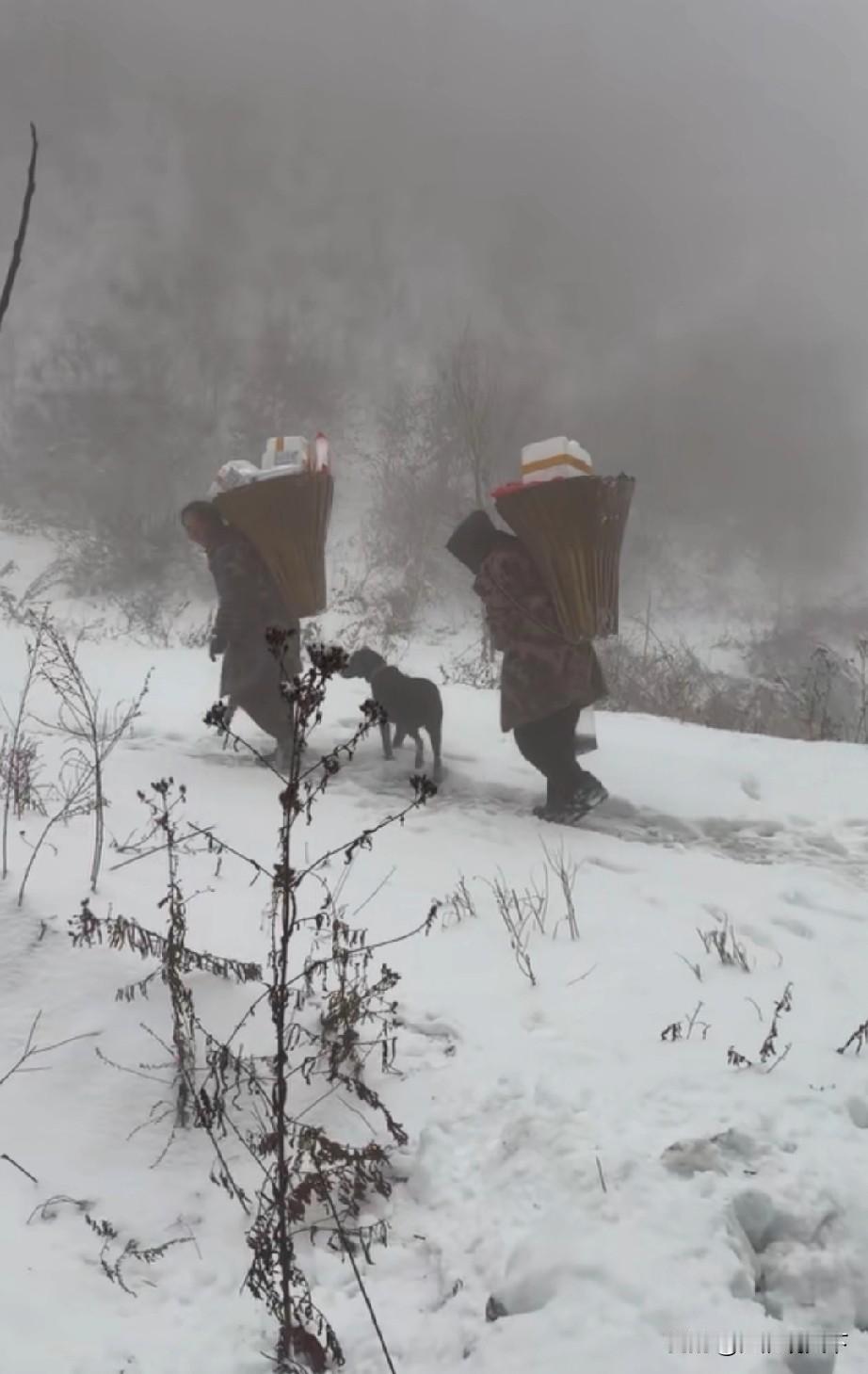 湖北省冰天雪地的大山里，电力系统正常供应，真的让人感动刷到一个湖北博主的视频，
