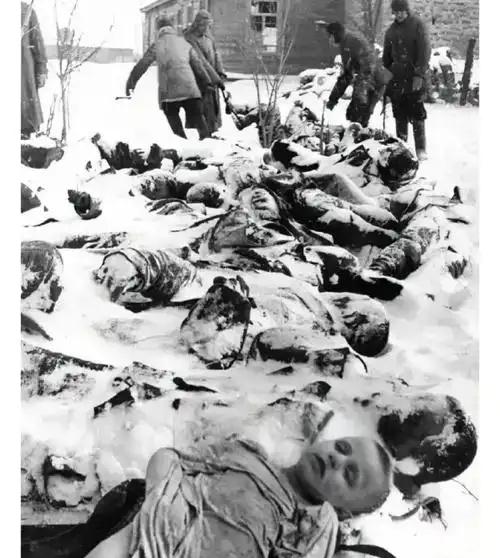 亚美尼亚人被疯狂屠杀的原因，大量女性被奸辱，活人被当成试验品。亚美尼亚人曾经有过