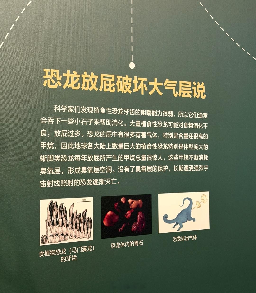 恐龙被黑的最惨一次[笑着哭]​​​
