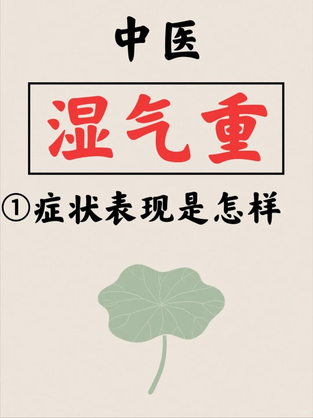 【中医科普：湿气重的身体症状表现！】在中医理论中，湿气重被称为“湿