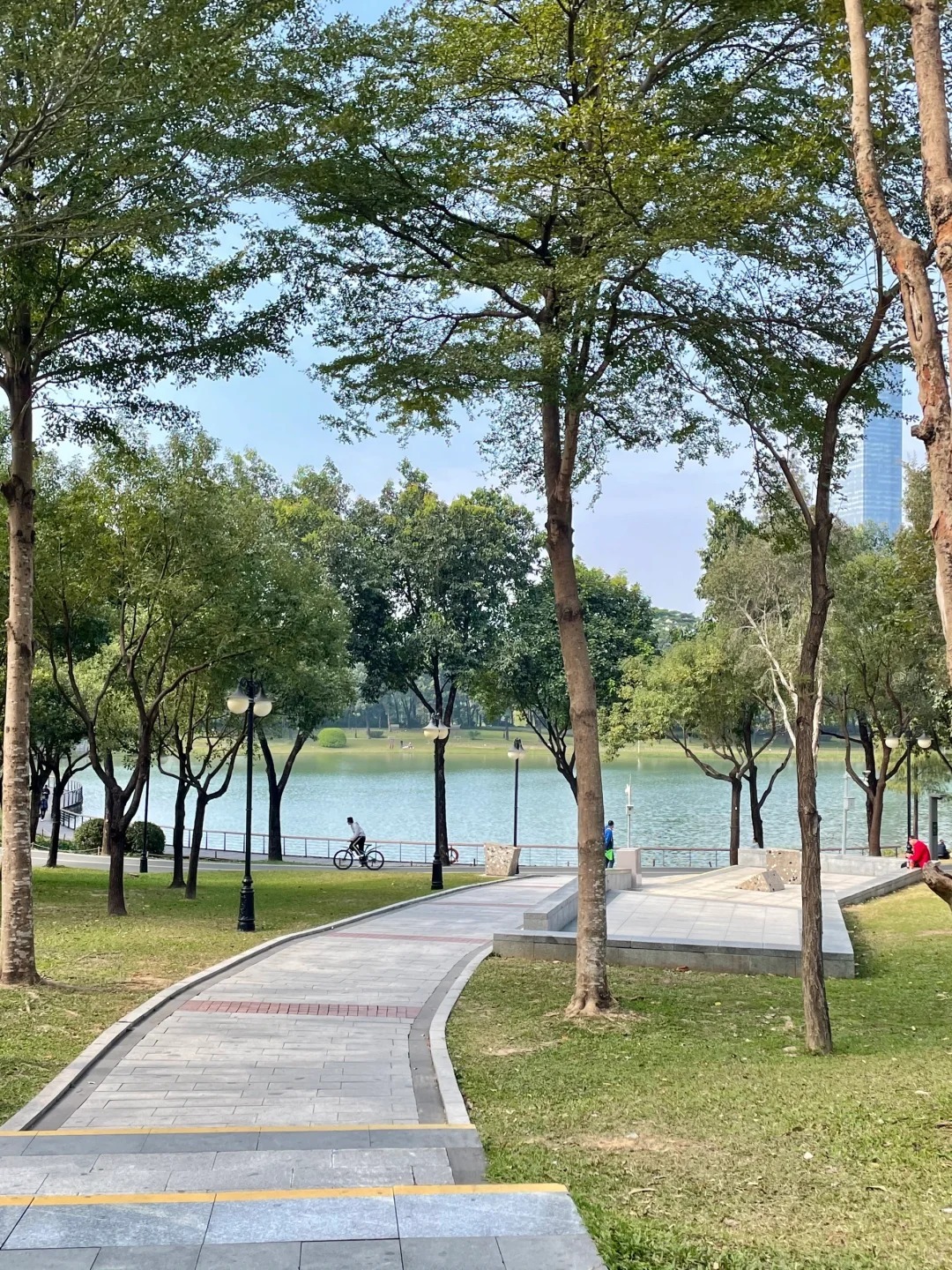 深圳中心公园｜这个公园的生命力好强啊。​​​