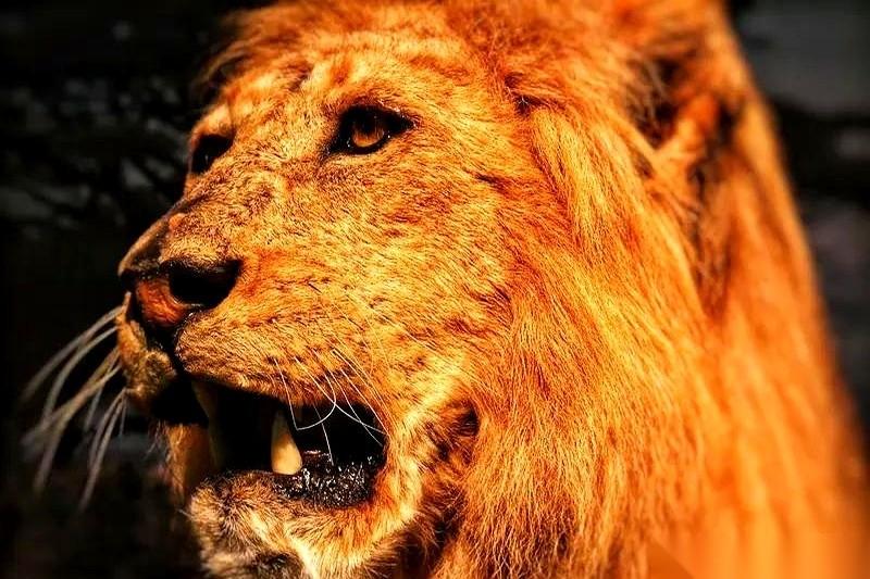 前面那哥们儿突然不跑了。就差一百米，他一屁股坐地上，汗珠子从下巴往下滴，冲我摆