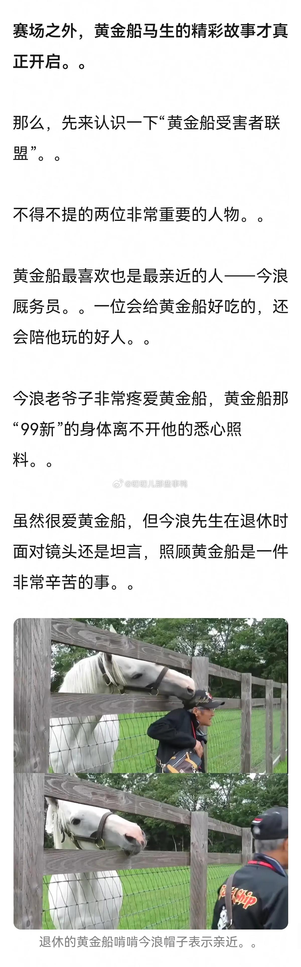 来看点有趣的赛马小故事→【黄金船】赛场不过是人类的执念，灵性的马儿总是自由如风～