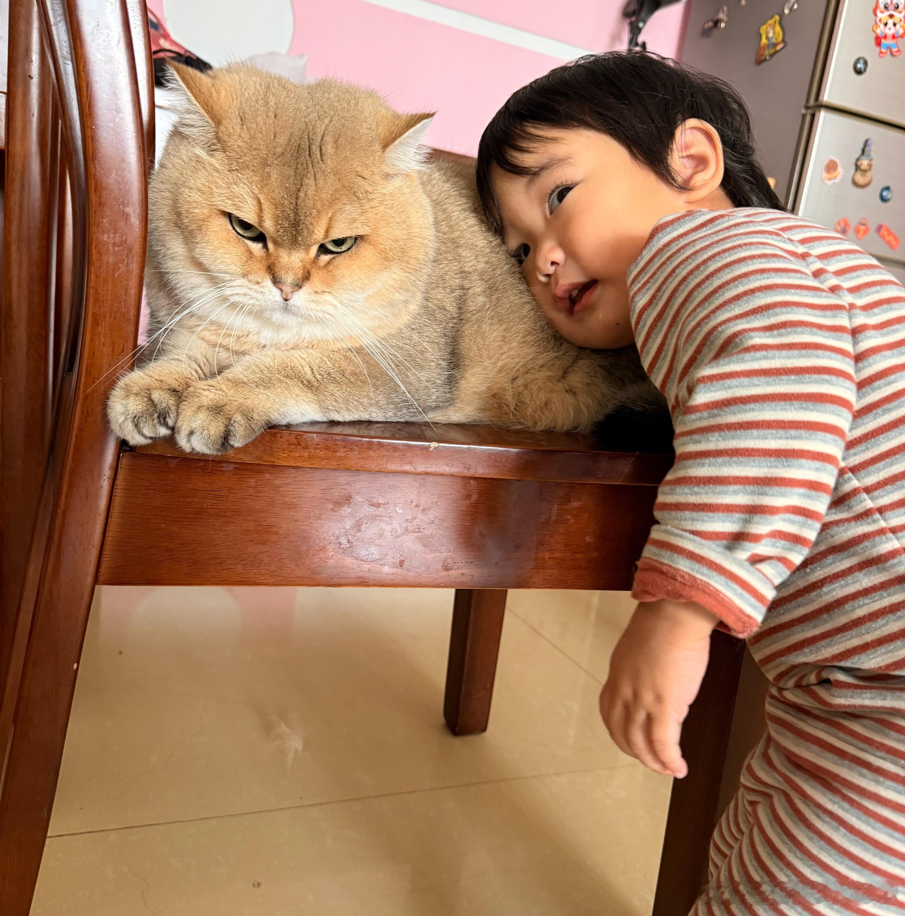 热脸贴上冷屁股？萌宠猫咪猫咪​​​