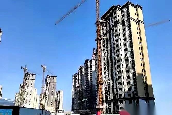 黑纸白字的合同，法院盖章的判决书，外加68套房子“托底”，黑龙江大庆的胡女士把5