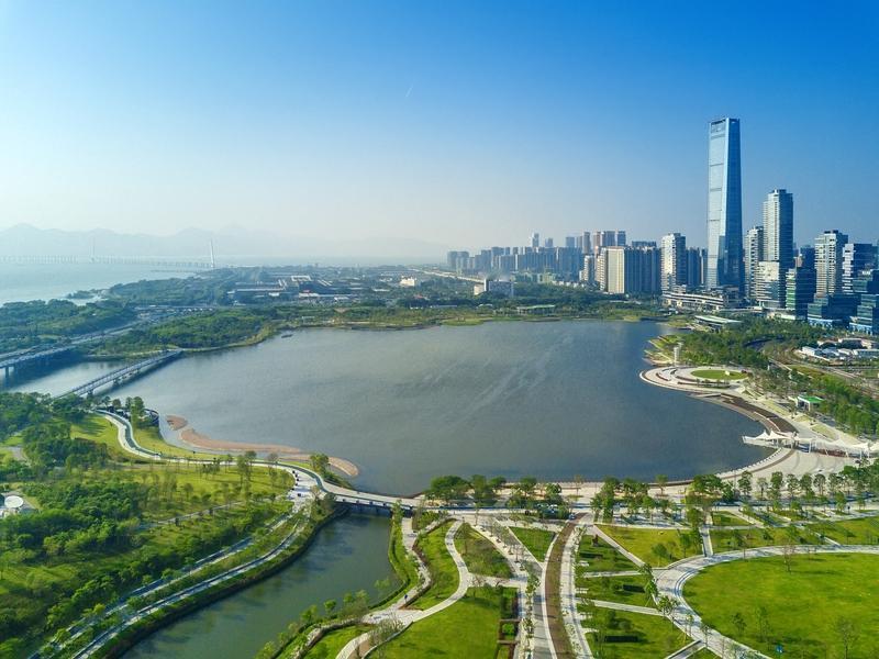 暖哭全网！深圳湾公园晚上一片漆黑，竟是为了让候鸟睡个好觉晚上逛深圳湾公园，