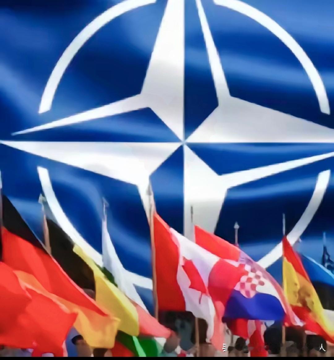 就在刚刚定调了！越南加入北约可能性为零，背后原因很现实北约华盛顿峰会刚