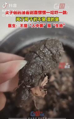 “恶心坏了！”河南安阳，一女子开了几幅中药回家熬着喝，倒药渣时却发现有一坨直愣愣