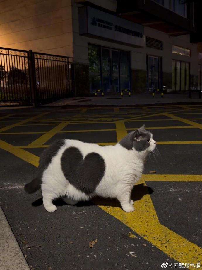 停车请勿占用消防通道