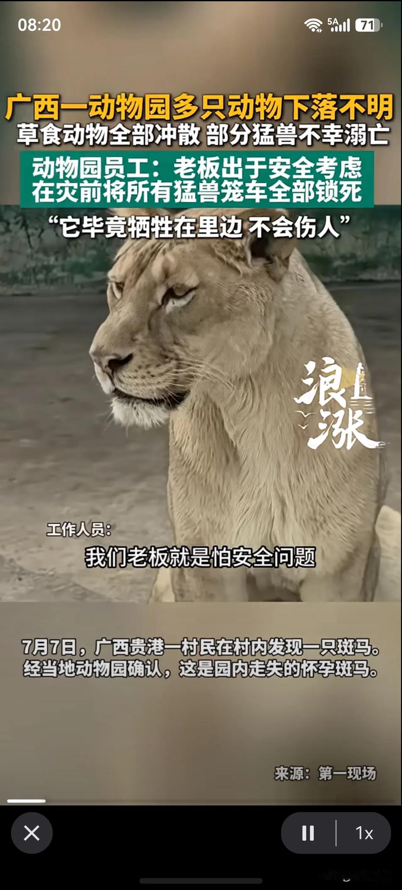一边是900多条蛇跑出伤人，一边是动物园锁死猛兽笼为了保护人类，没有对比就没有伤