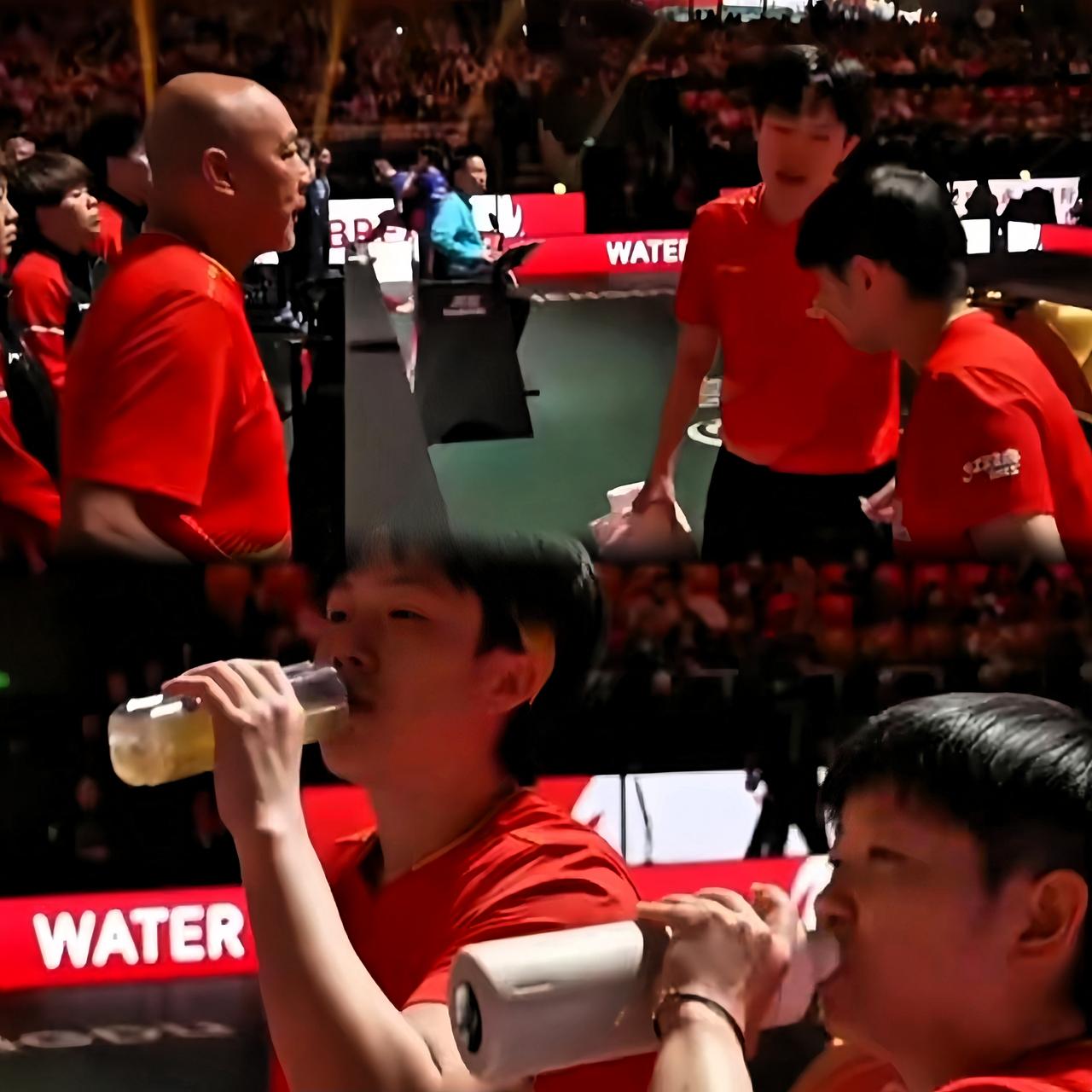 两小只喝水神同步！肖指导带着两小只训练，这默契度真是绝了！有肖指导坐镇，