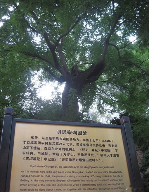 最近总是刷到满遗这个，满遗那个，一个一个给气得够呛。我都有点看懵了。虽然明史咱看