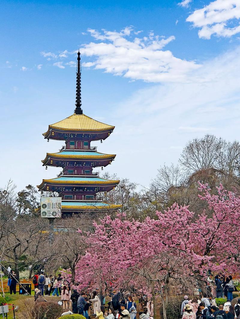 自驾游玩武汉东湖是个超棒的选择！我从杭州高铁到武汉站，出站就能感受湖风的湿润。东