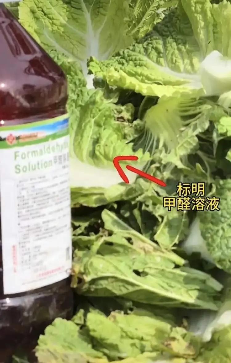 甲醛白菜，底线何在？8月22日，自媒体博主“渔猎齐哥”在河北张家口康保县屯垦