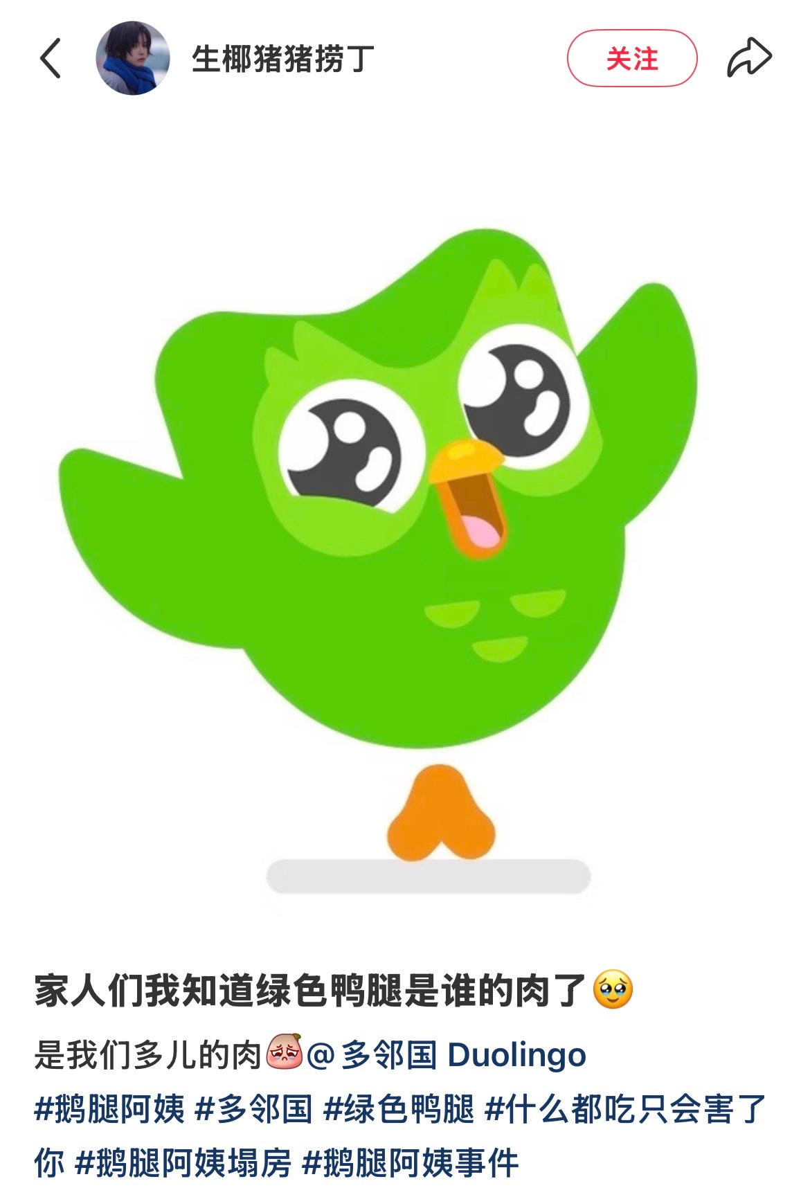 谁想馋多儿的绿色鸭腿肉