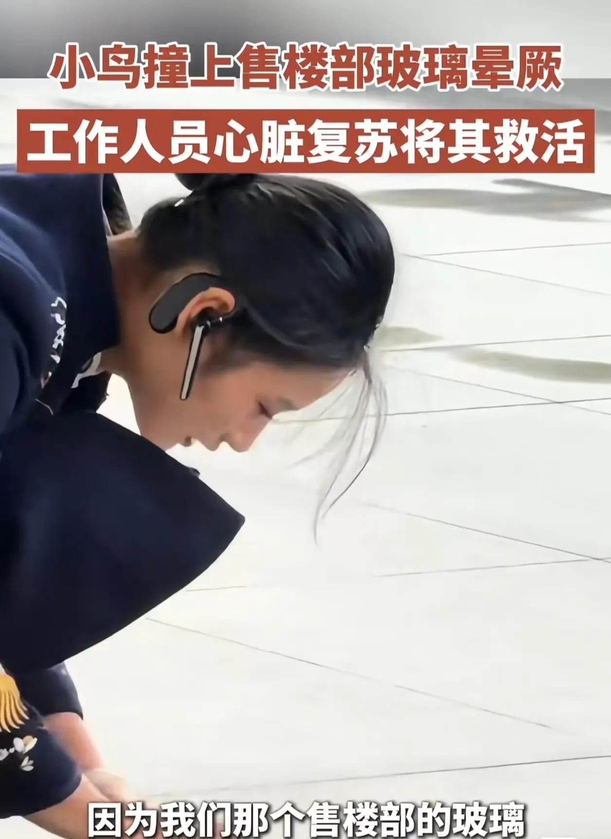 人美心善！安徽合肥一售楼中心，玻璃擦的噌亮，突然“砰”的一声闷响，撞碎了售楼中心