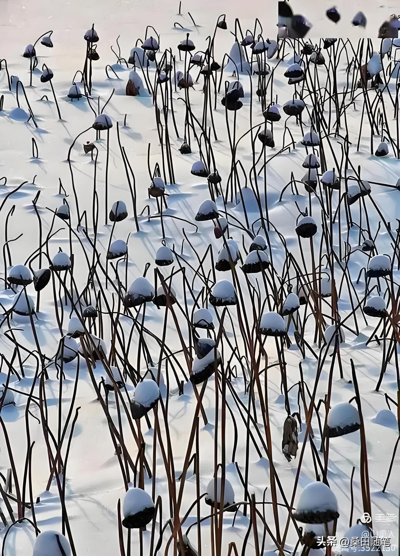 退休后，我终于有了闲暇时间。不再装了，活出自己的样子，那才叫够劲。年轻时，总