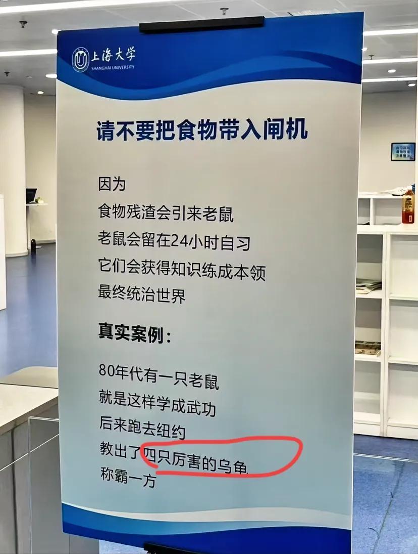 不懂就问，上海大学这段“四只厉害的乌龟”🐢，指的是龟的啥品种？[捂脸哭]城市
