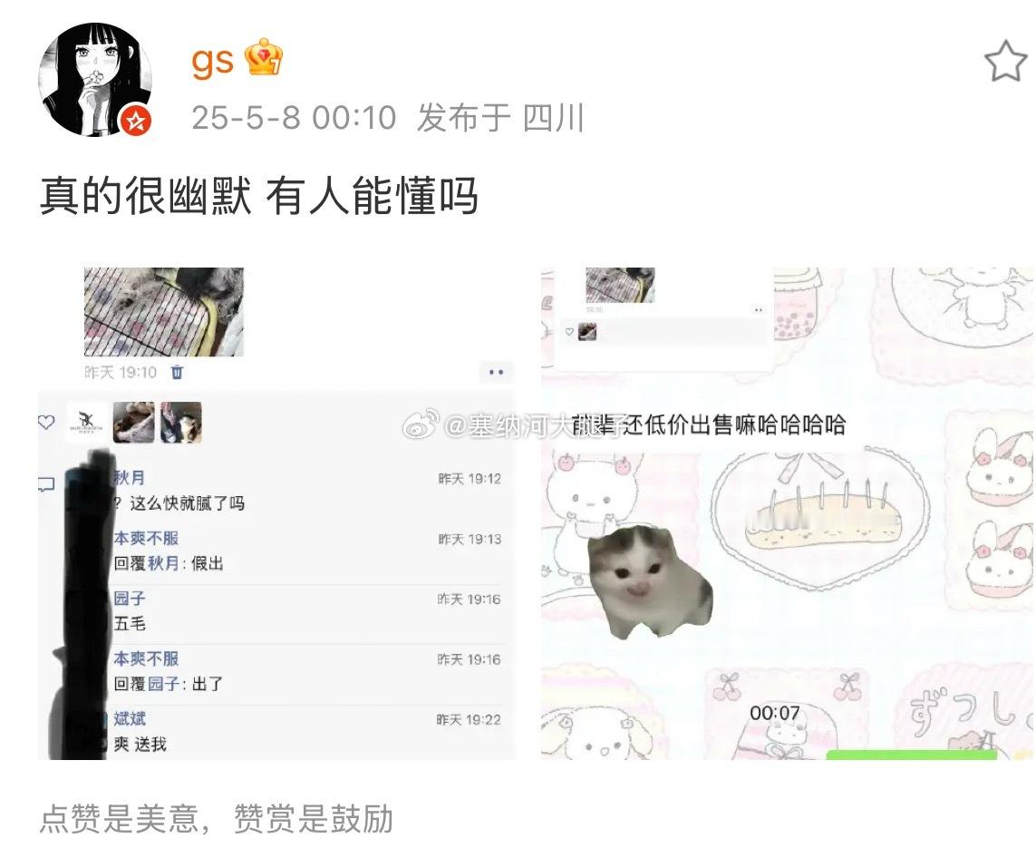 [doge]众所周知，小猫小狗的花语是…​​​