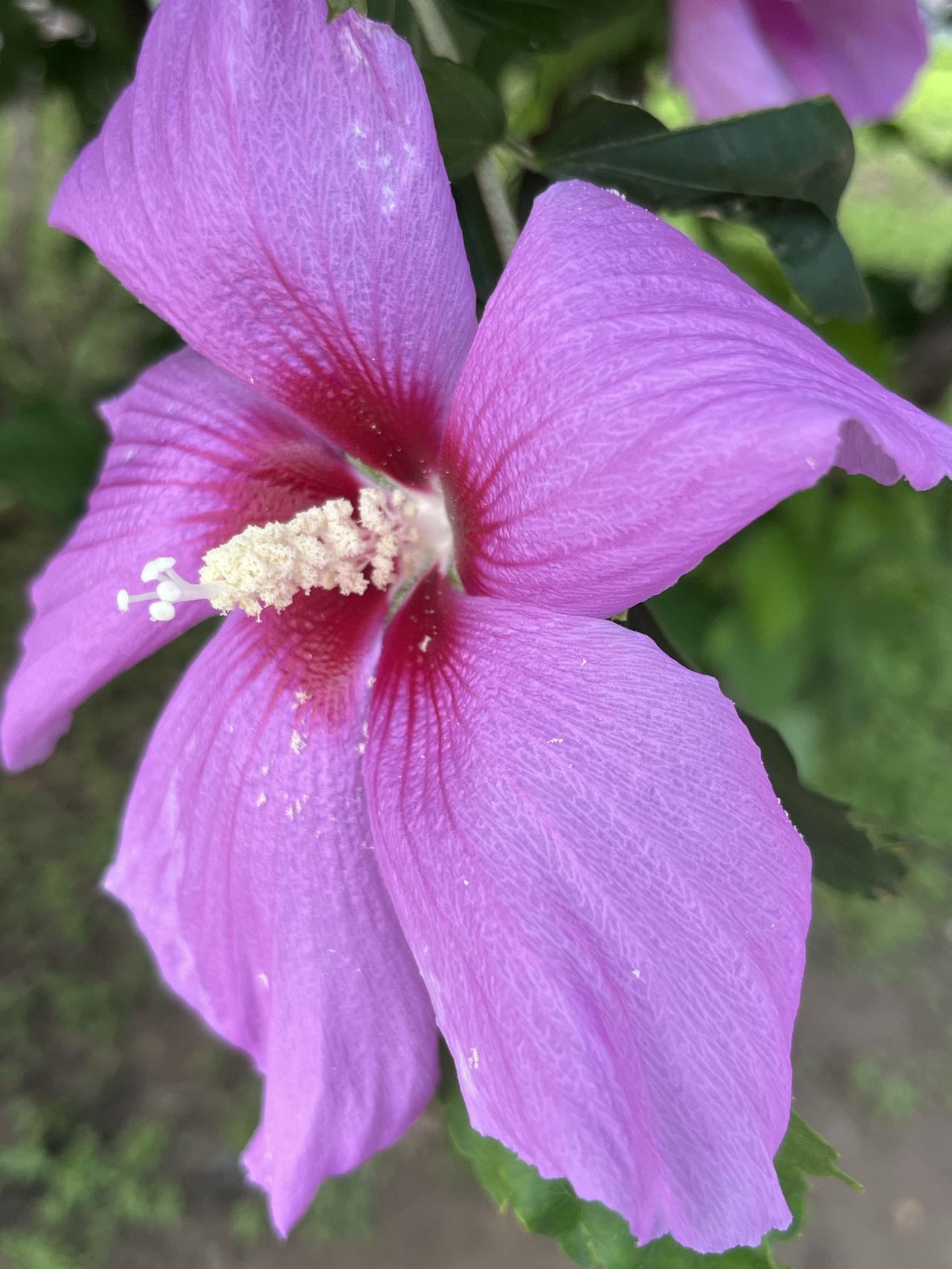 12月25日：事关北京二手房，涨跌自己判断！距离2026年倒计时7天，昨日北