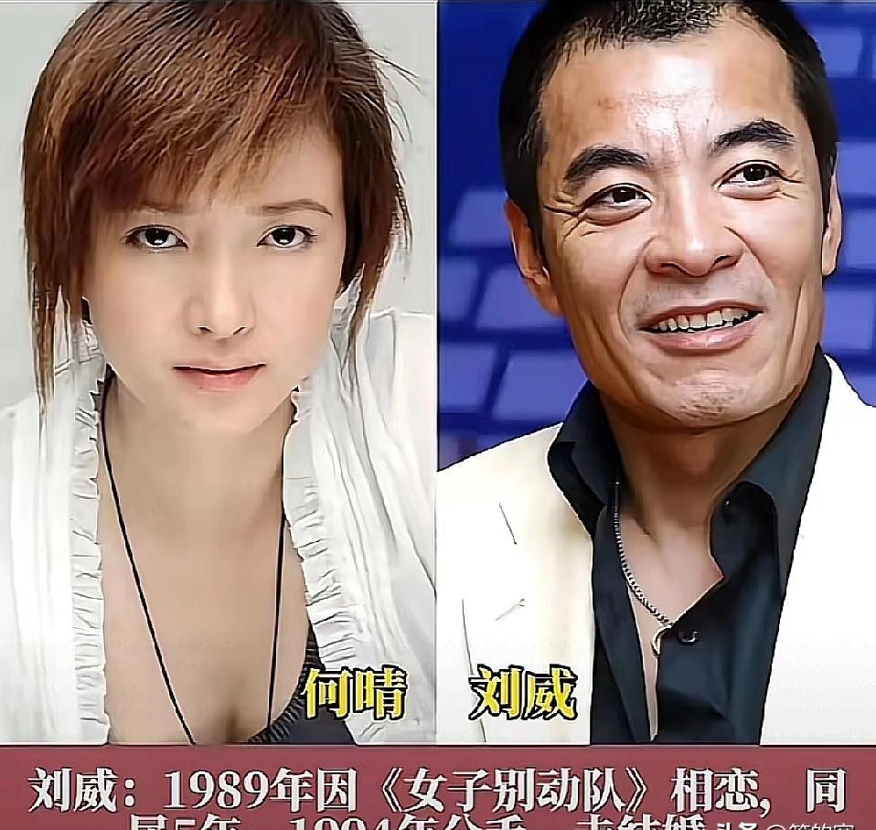 一代古典美人何晴，竟被三段情伤彻底锁死。我圈内都清楚，何晴的美是刻在骨子里的，