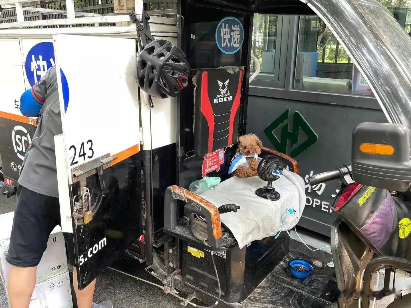 送快递的小狗狗手边有水，脚下有粮，眼前风扇，背后是你快递小哥把狗狗照顾的也太好了