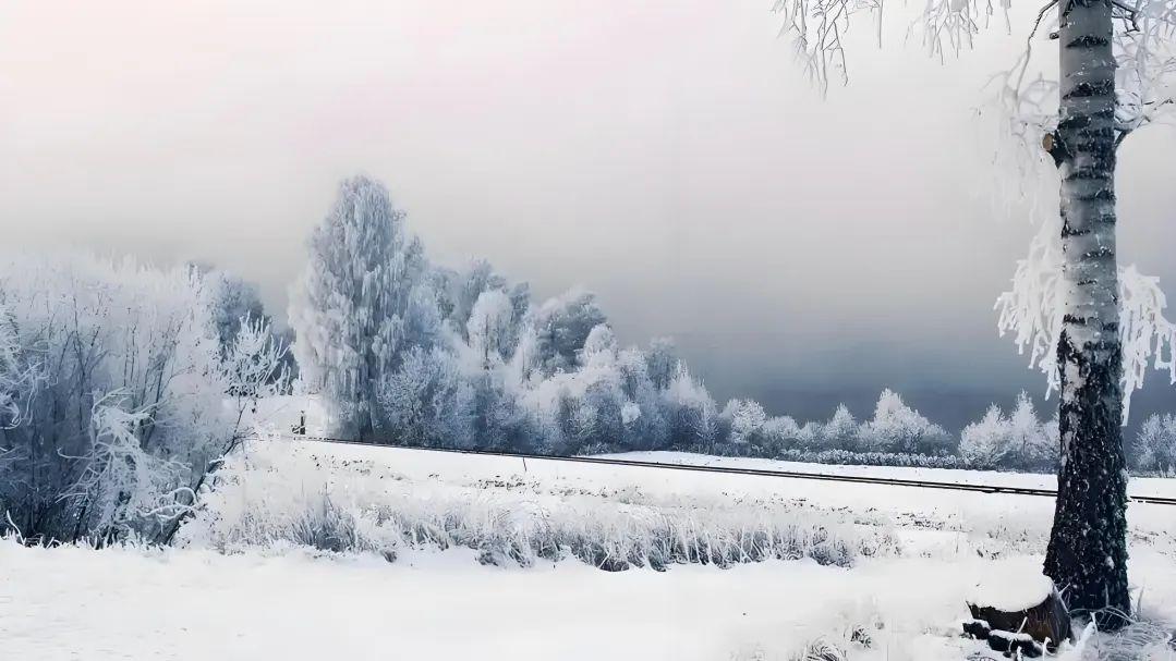 七律·大寒雪满天