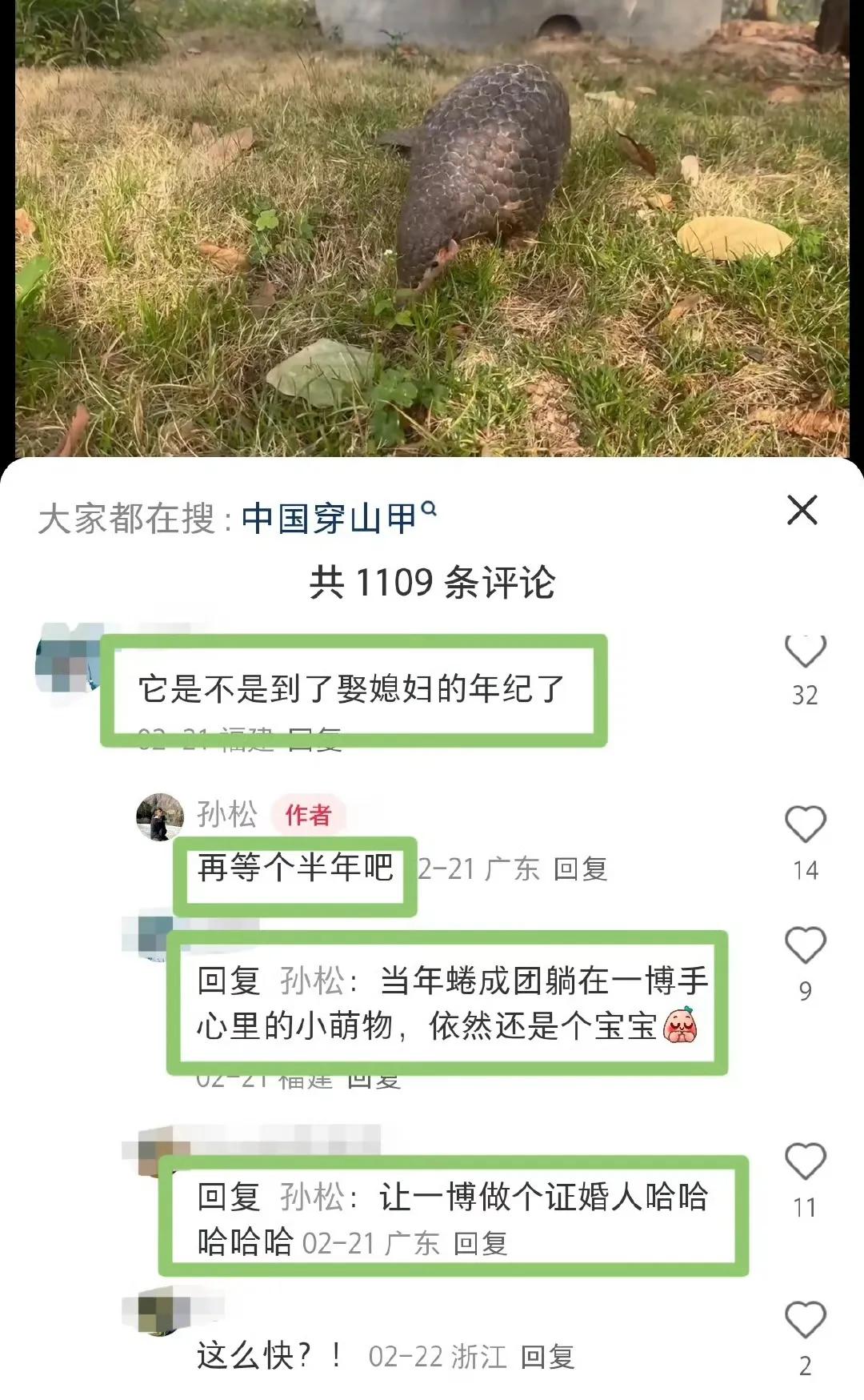 王一博亲手抱过的那只小小的穿山甲原来真的叫“王一甲”[捂脸哭]并且，居然已经开始被