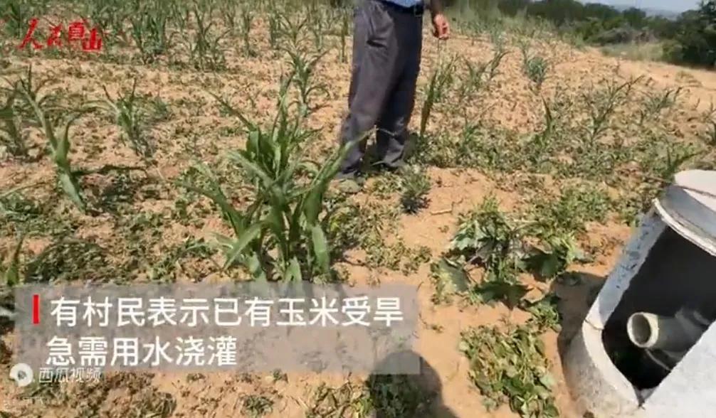连人民日报都看不下去了国家这几年投了老多钱，在全国各地搞高标准农田。这本是好事