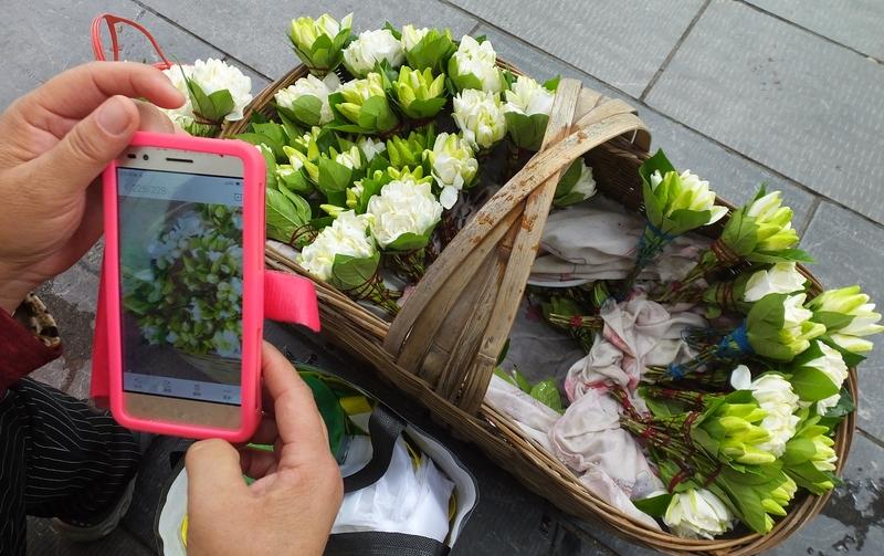 地铁口卖花的奶奶收摊，我买下最后一束栀子花。她多塞了两枝：“姑娘，这花今晚开，正