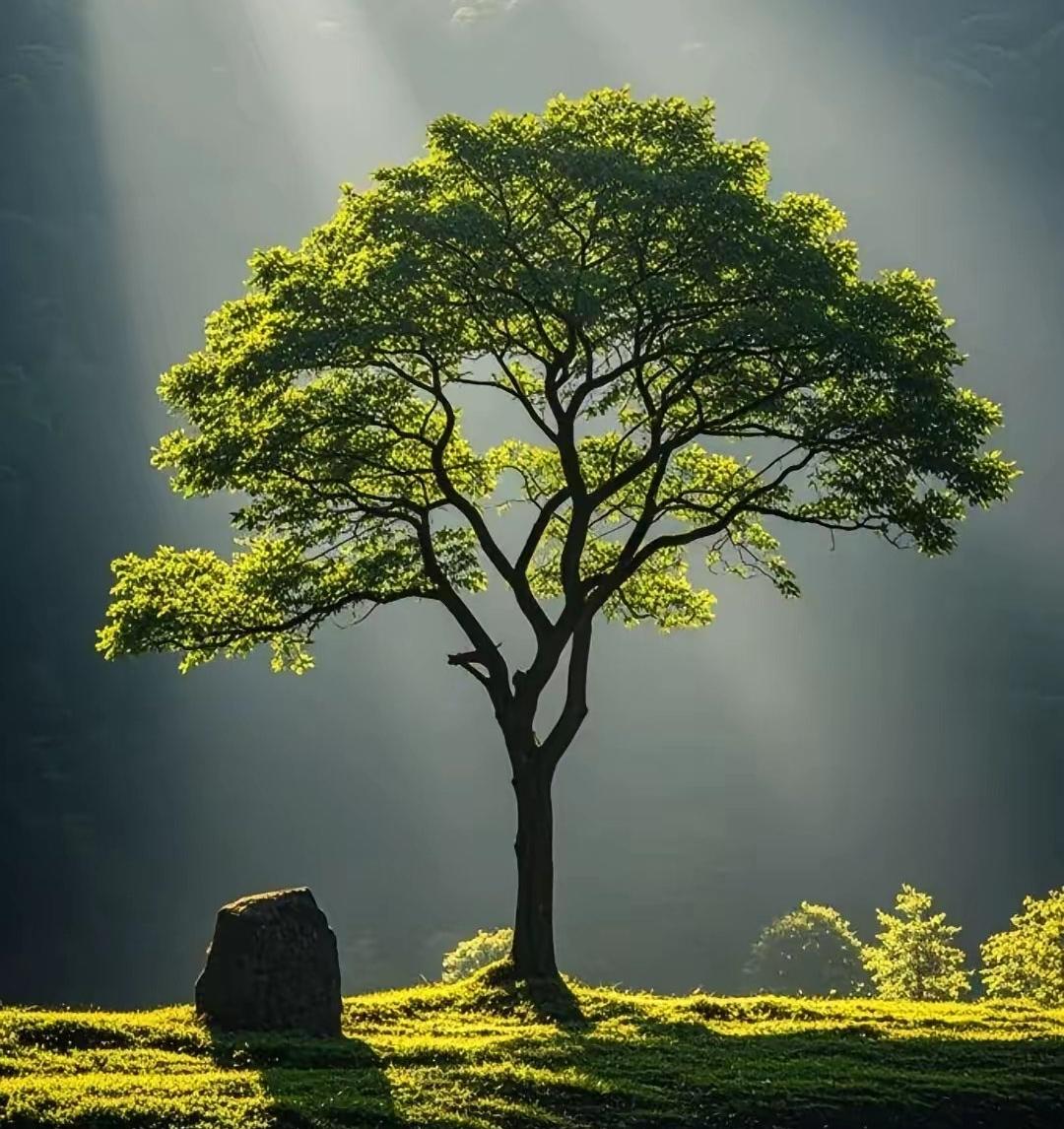 别被“人生容错率高”骗了，很多错你根本没机会改刷到不少博主劝人放宽心，说人