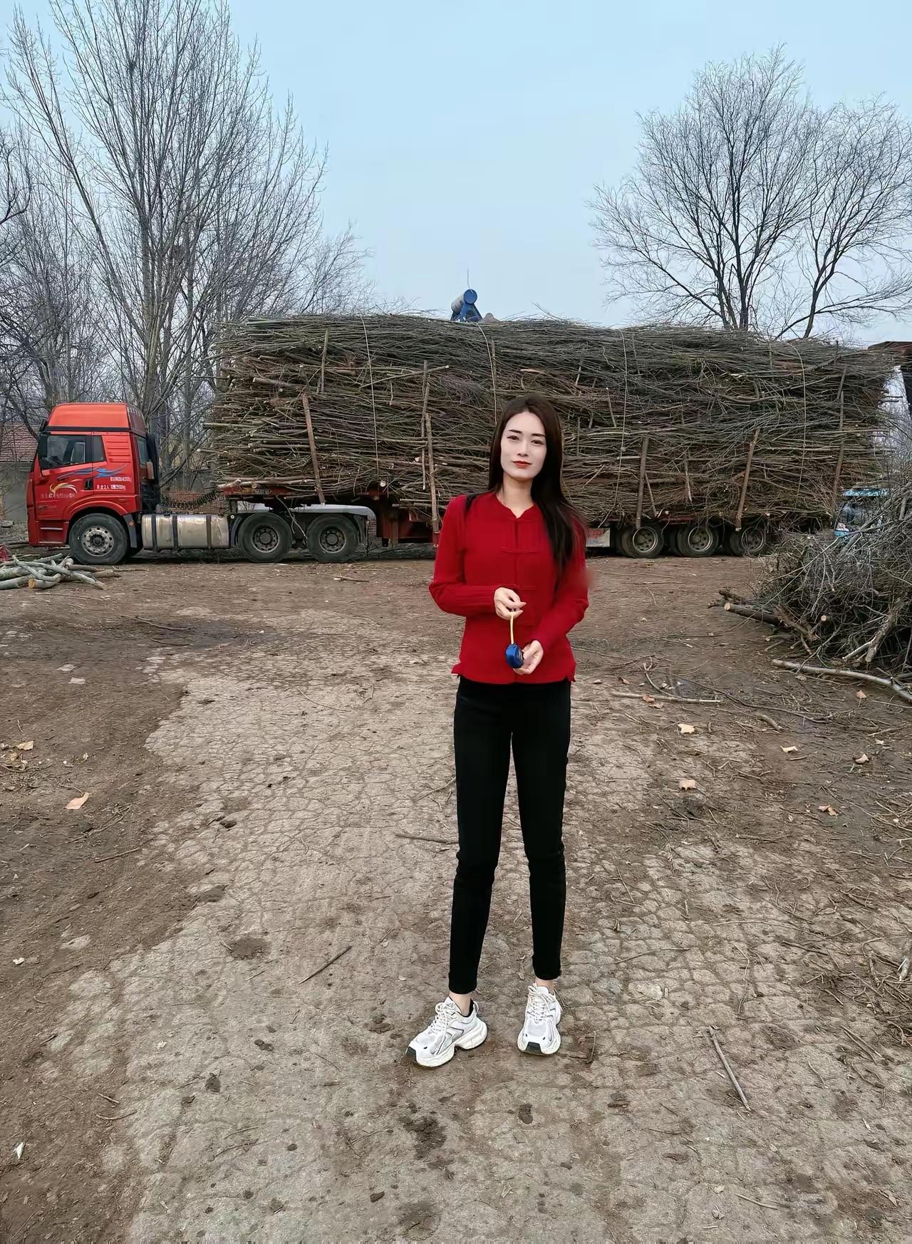 收柴火的一天，我只负责算账，装车，卸车都有人。