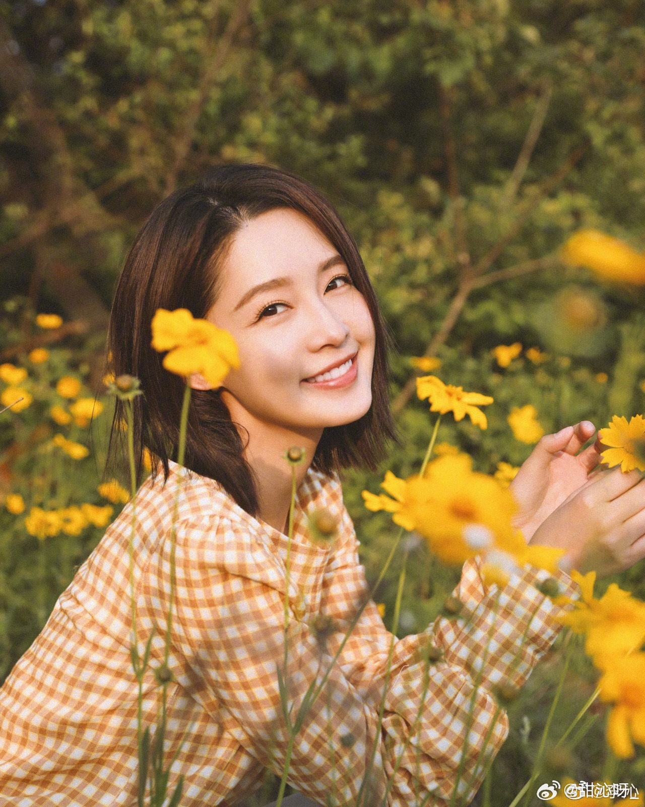 阳光明媚的一组图😍