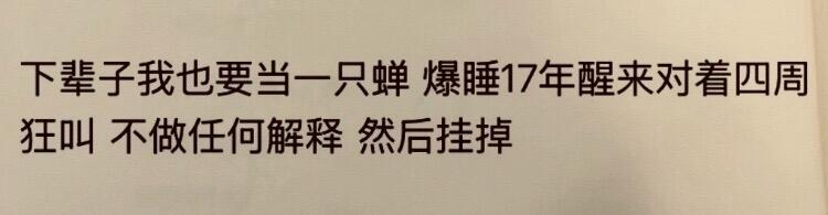 下辈子一定把这辈子的怨气全叫出来​​​