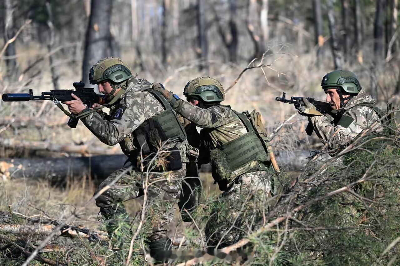 俄罗斯媒体的报道，一点也不靠谱呀。据俄罗斯媒体报道，“乌克兰军队过去一昼夜内损失