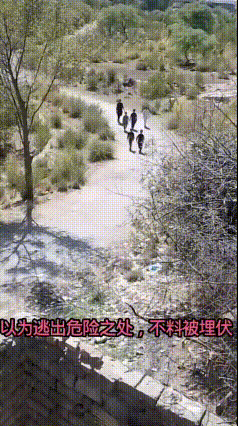只要被伏击自己就是插翅难逃，看看这六个人被一把枪，不到一分钟就消灭了。从枪响到